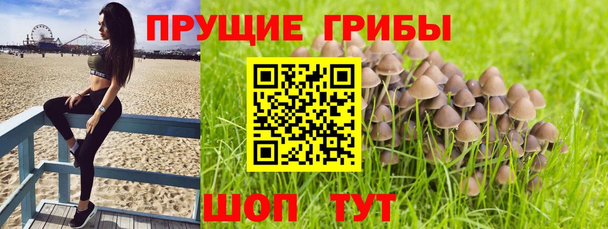Кинешма  Галлюциногенные грибы ЛСД  даркнет сайт  Псилоцибиновые грибы ЛСД  Вход с VPN 